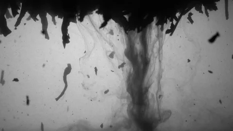 Dropping tea into the water Stock Footage 102585654