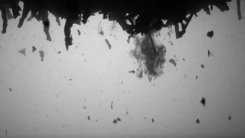 Dropping tea into the water Stock Footage 102586069