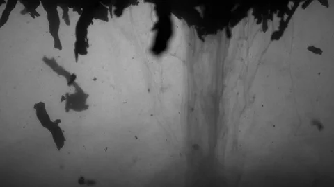 Dropping tea into the water Stock Footage 102587459