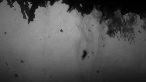 Dropping tea into the water Stock Footage 102588024