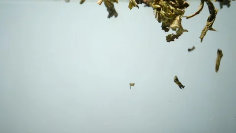 Dropping tea into the water Stock Footage 102588415