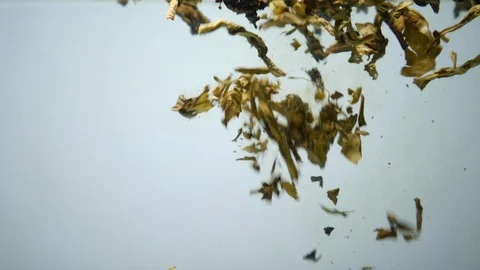 Dropping tea into the water Stock Footage 102588905