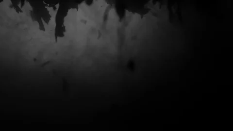 Dropping tea into the water Stock Footage 102589114