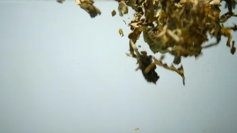 Dropping tea into the water Stock Footage 102589432