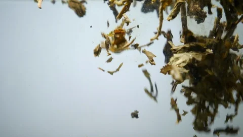 Dropping tea into the water Stock Footage 102589500