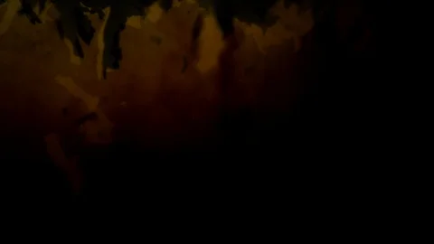 Dropping tea into the water Stock Footage 102595091