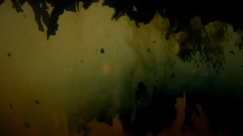 Dropping tea into the water Stock Footage 102596124