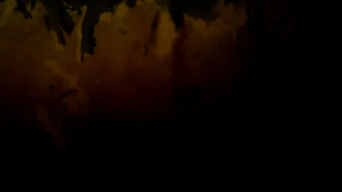 Dropping tea into the water Stock Footage 102596334