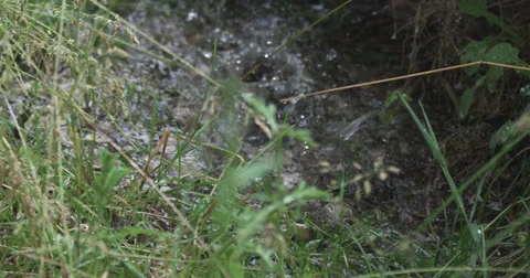 Drops 1 Stock Footage 26227782