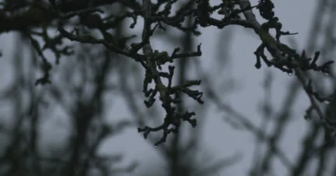 Drops 15 Video stock 26190028