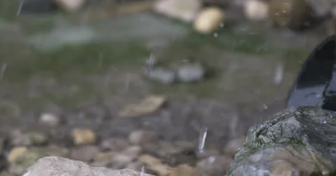Drops 2 Stock Footage 26222511