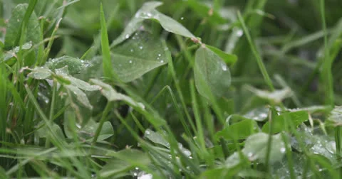 Drops 5 Stock Footage 26222177