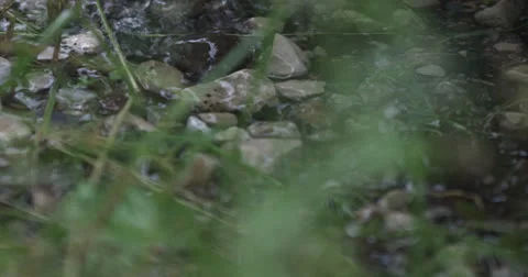 Drops 9 Stock Footage 26182177