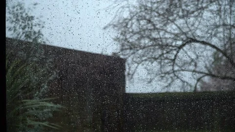 Drops against rolling down on window on a cloudy stormy day with moving trees Stock Footage 235013120