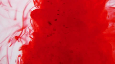 Drops and then gushes of red liquid mixing into a clear fluid. Blood in the bath Stock Footage