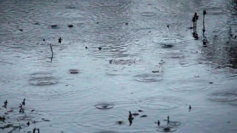 Drops of autumn rain falling into the water, reflecting early morning and dawn. Stock Footage 111198564