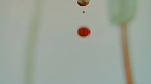Drops of blood fall down. Allegory of flowing blood. Stock Footage 130486564