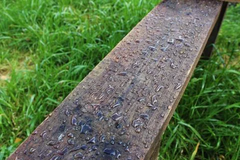 Drops on the board on the background of grass Stock Photos
