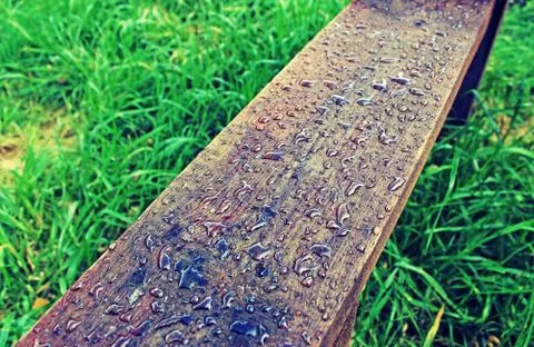 Drops on the board on the background of grass Stock Photos
