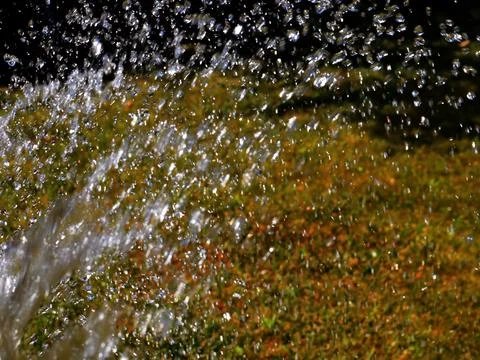 Drops of clean water Stock Photos
