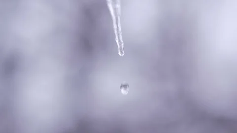 Drops dripping from visitor icicles Stock Footage 100651516