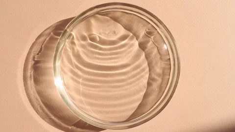 Drops fall into a petri dish with sunlight Stock Footage 197541997