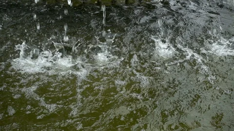 Drops fall in slow motion on the water surface of the river. Stock Footage 118771482
