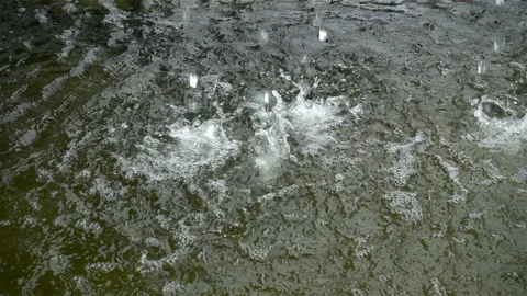 Drops fall in slow motion on the water Stock Footage 123301625