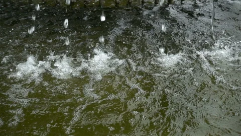 Drops fall in slow motion on the water surface. Stock Footage 127736985