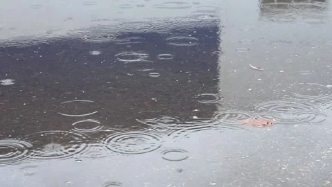 Drops fall on the surface of the puddle. The concept of rain, melting of snow 動画素材 147615957