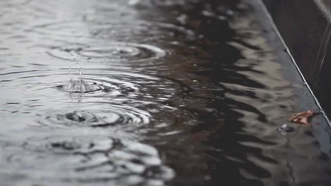 Drops fall on the surface of the puddle. The concept of rain, snow melting Video stock 148198178