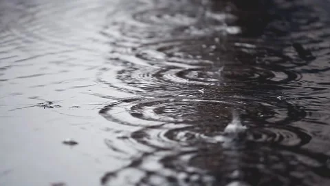 Drops fall on the surface of the puddle. The concept of rain Stock Footage 148198187