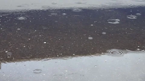 Drops fall on the surface of the puddle. The concept of rain, melting of snow Stock Footage 148983389