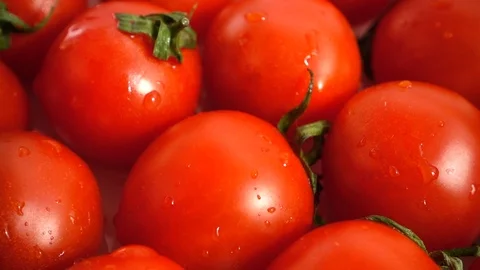 Drops fall on tomatoes. Slow motion. Stock Footage 127090930