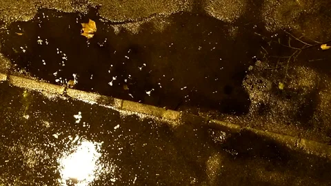 Drops Fall On The Wet Asphalt Stock Footage 164404495
