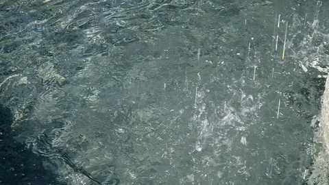 Drops falling Stock Footage 123840112