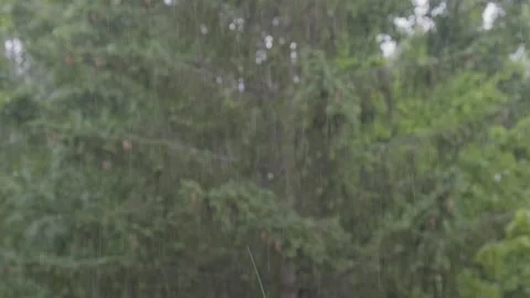 Drops Falling 動画素材 248601317