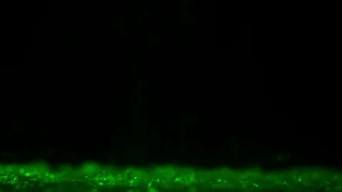 Drops falling on green water Stock Footage 113823288
