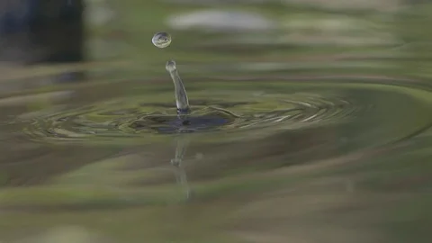 Drops falling into a pond Stock Footage 102886062
