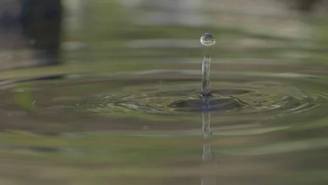 Drops falling into a pond Stock Footage 102886179