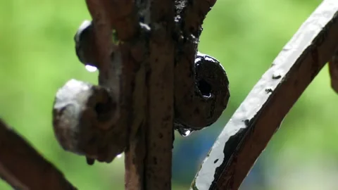 Drops of falling rain Stock Footage 119819796