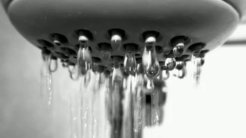 The drops falling from the watering can shower in the bathroom close up Stock-Footage 73873510