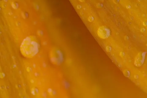 Drops to flakes Stock Photos