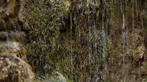 Drops flow down on the green mossy stone plumb near a waterfall. Stock Footage 77007602