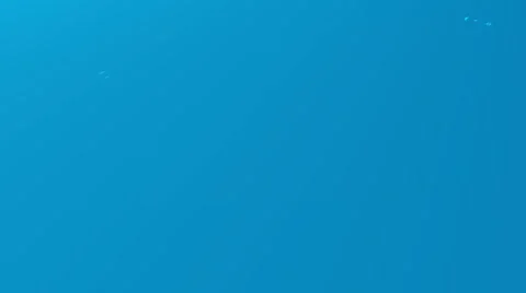 Drops Stock-Footage 980927