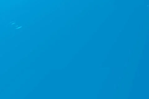 Drops Stock Footage 980929