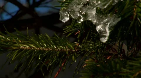 Drops Stock Footage 10814474