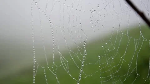 Drops Stock Footage