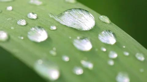 Drops Stock Footage 33849091