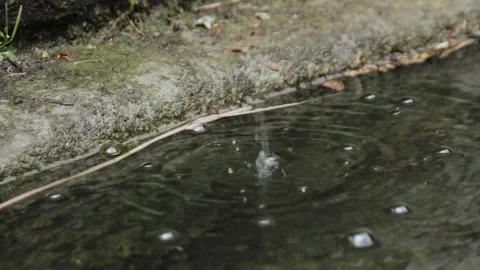 Drops in the fountain Stock Footage 74901479
